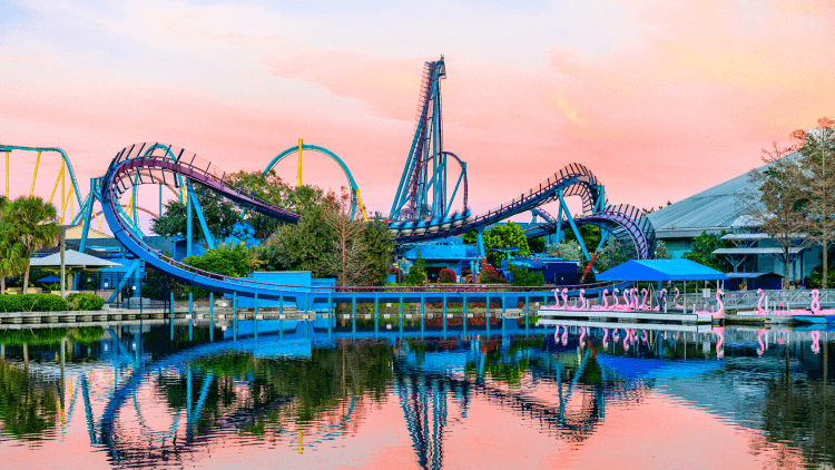 Seaworld coaster