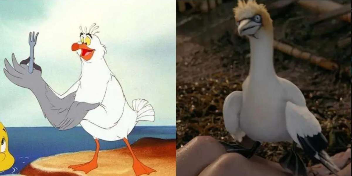 Scuttle