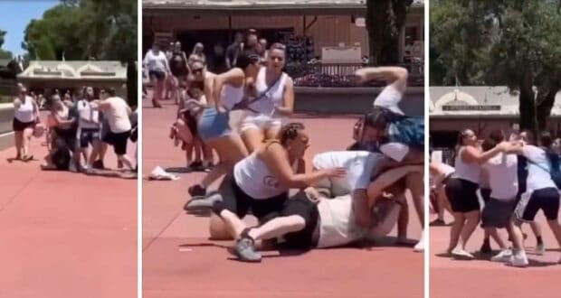 Guest Fight