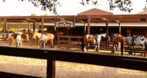 Tri-circle-D ranch
