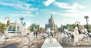 Cinderella Carriage