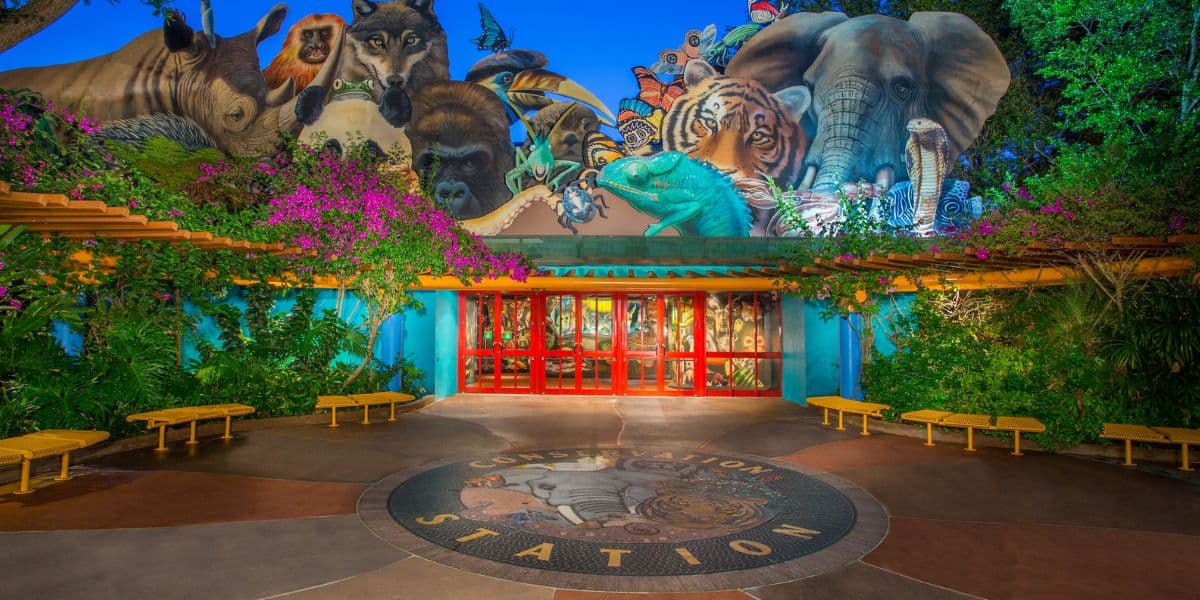 Conservation Station