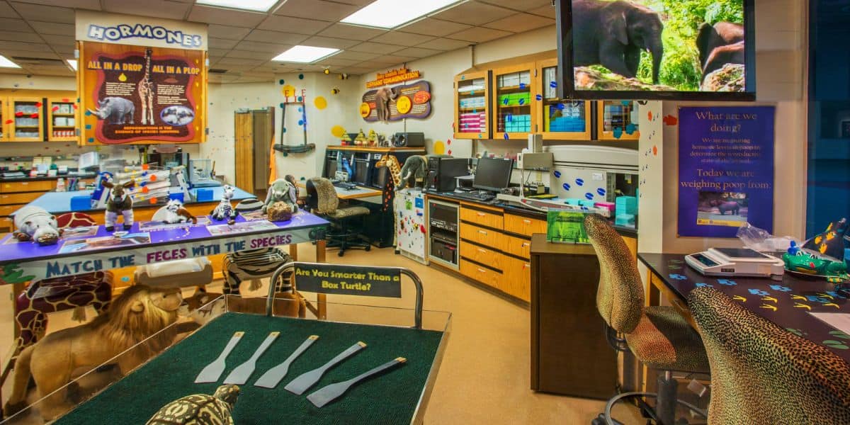 Conservation Station