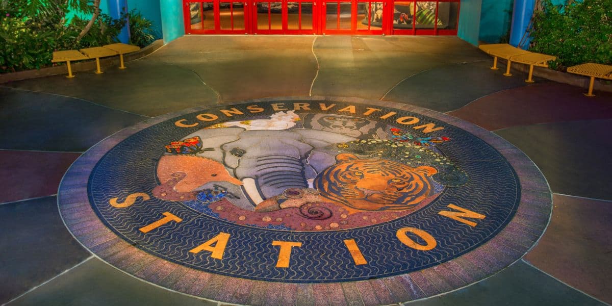 Conservation Station