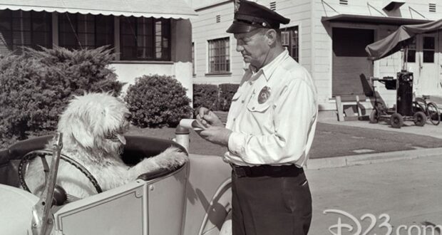 Disney World Security