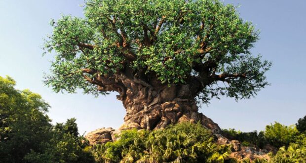 Animal Kingdom