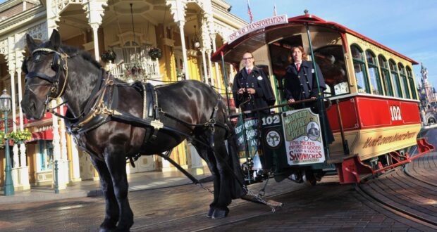 Horse drawn carriage Disneyland