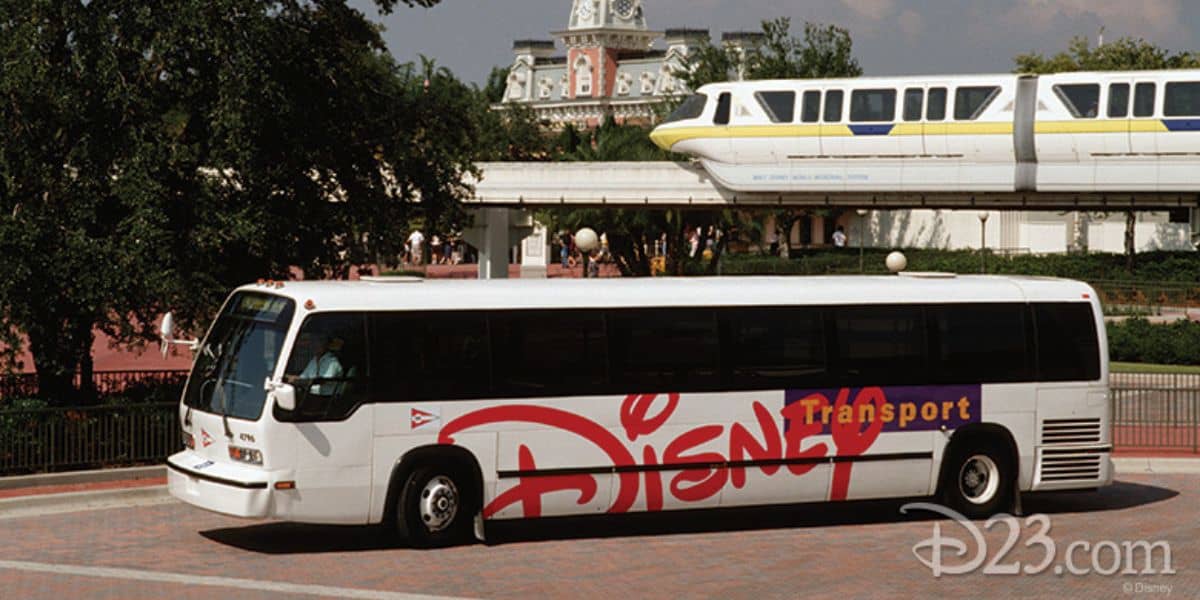 Disney Bus