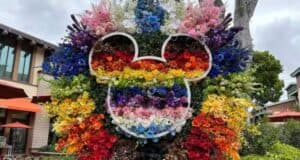 Pride flowers