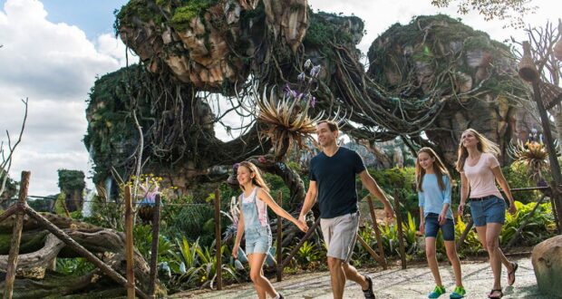 Flight of Passage