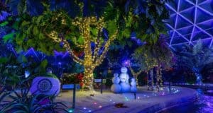 Living with the Land Christmas