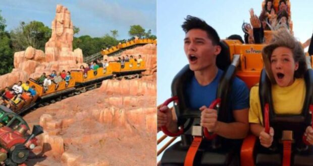Roller coaster and Disney Guests