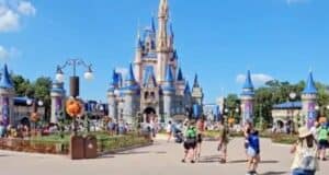 Disneyland Park Guests