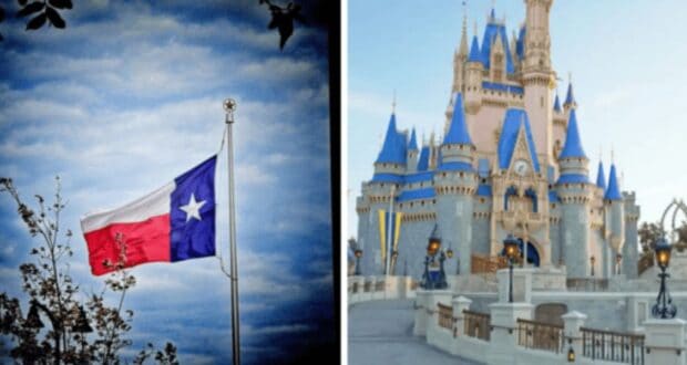 The Walt Disney Company