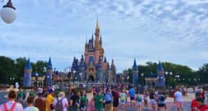 Disney Castle Guests