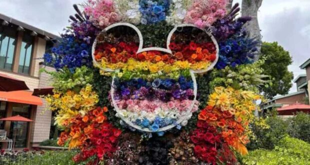 A pride display of flowers.