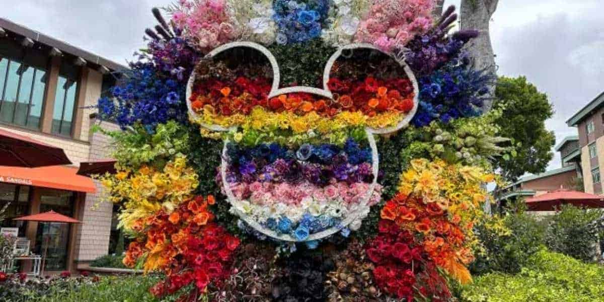 A pride display of flowers. 
