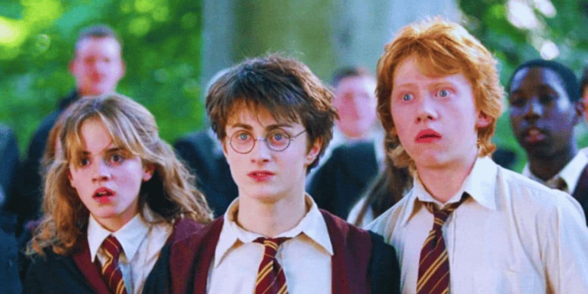 Harry Potter, Hermione Granger, and Ron Weasley looking shocked