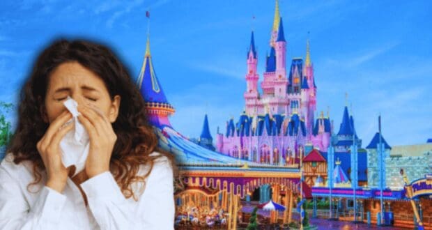 Woman Blowing Nose Magic Kingdom