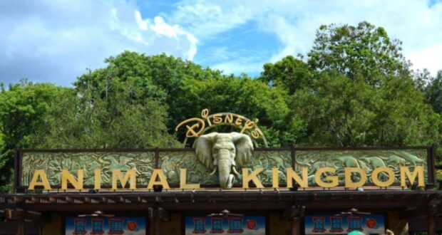 Animal kingdom Park entrance