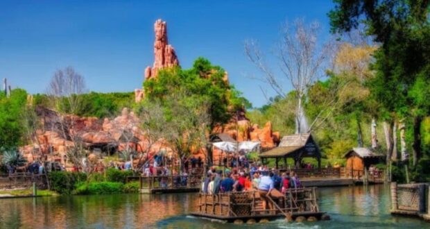 Walt Disney World Guests
