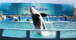 Miami Seaquarium
