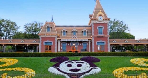 Disneyland Theme Park