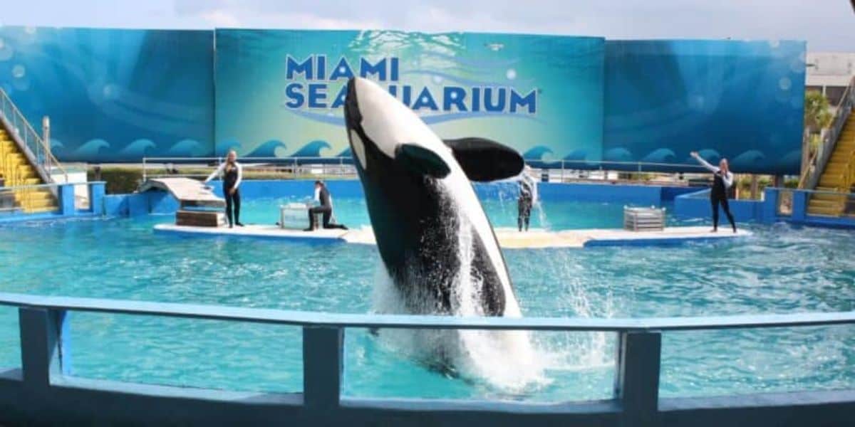 Miami Seaquarium