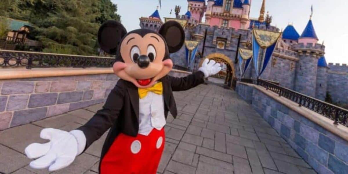 Mickey Mouse Disney Castle