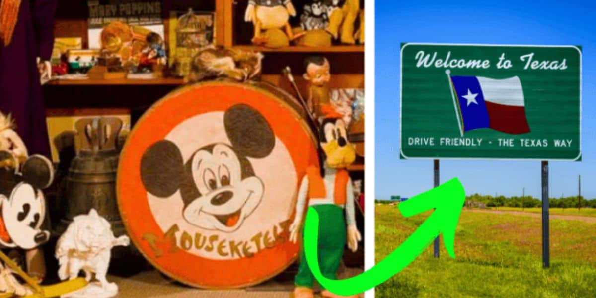 Disney North Texas