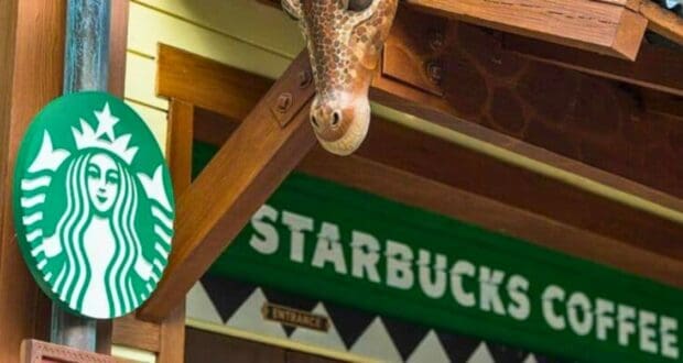 starbucks sign at disney's animal kingdom