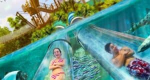 Two people, a woman and a man, are enjoying clear water slides at a Florida Theme Park that pass through an aquarium filled with fish and a shark. The slides are surrounded by lush greenery and other water park structures. Both individuals have smiles of excitement on their faces.