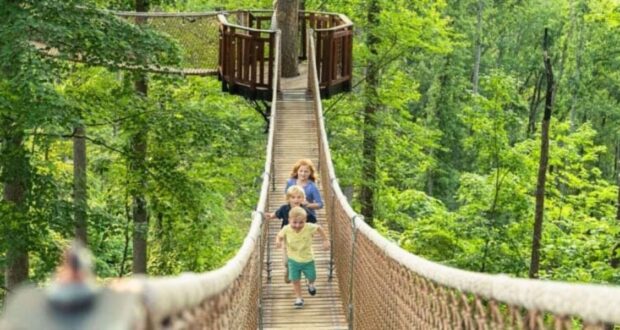 Three children are walking on a wooden suspension bridge surrounded by lush green trees in a theme park. The bridge is elevated and leads to a platform around a large tree. The children, dressed casually, appear joyful as they explore their adventure amidst nature's beauty.