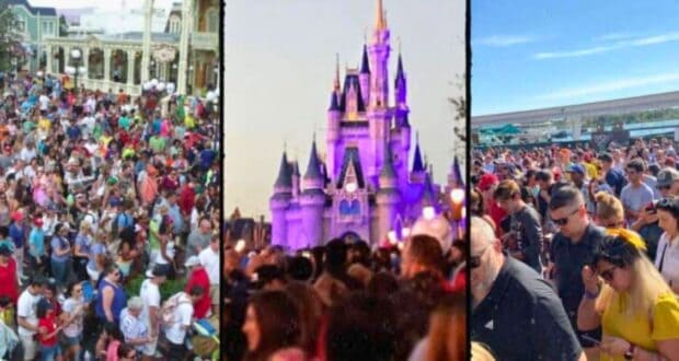 Three photos showing crowds at Walt Disney World Resort and other theme parks on bright, sunny summer days.