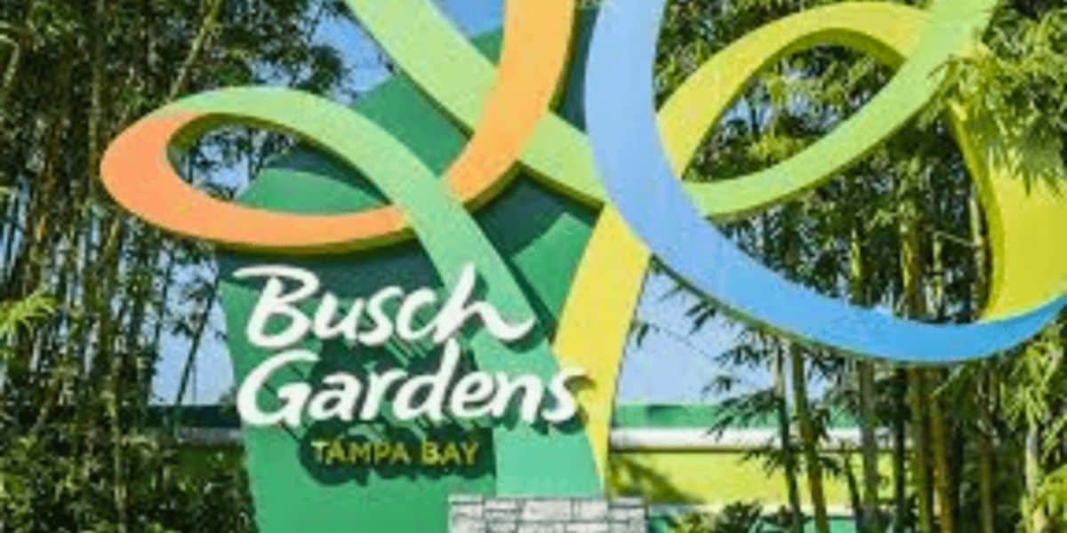 The entrance sign for Busch Gardens Tampa Bay, a popular Florida theme park surrounded by greenery. The logo features the words "Busch Gardens" in white cursive lettering and "Tampa Bay" in yellow underneath, all set against vibrant green and multi-colored looping structures.