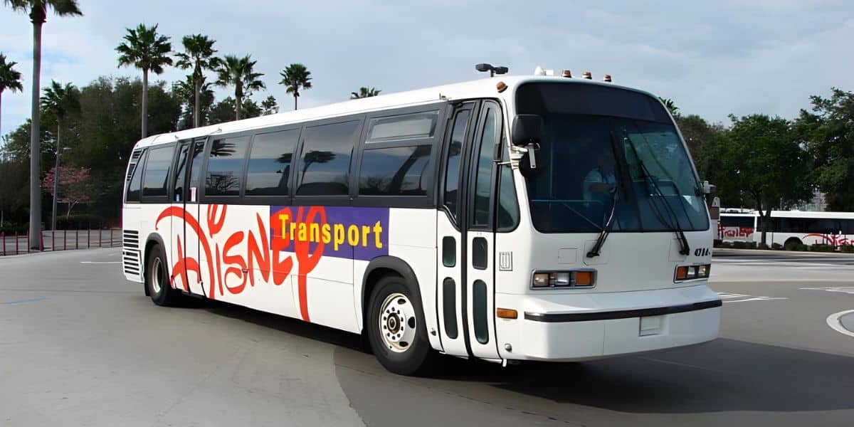 A white bus labeled "Disney Transport" with a colorful, stylized Disney logo on its side is parked on a paved area. Palm trees and landscaped greenery are visible in the background. The sky is overcast. It looks like it's ready to head to the Disney Transportation and Ticket Center.