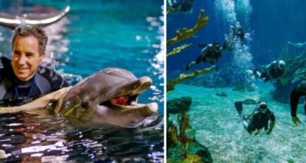 Disney Animal Entertainment