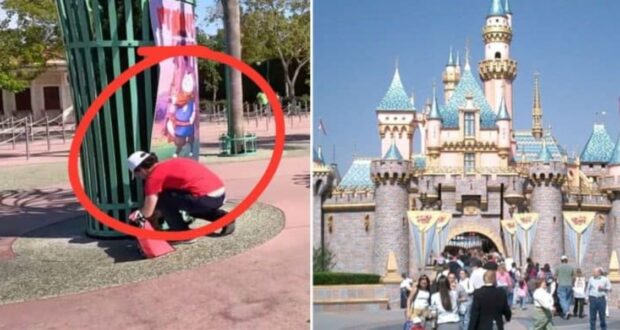 Disney Parking Rules