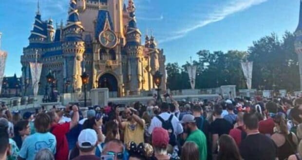 Magic Kingdom News
