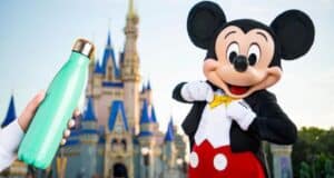 Mickey Mouse in front of Cinderella castle as a hand holds a water bottle