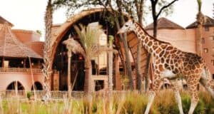 A giraffe walks through tall grass in front of a large, uniquely designed building with round rooftops and arched structures, surrounded by trees and a warm, daytime sky.