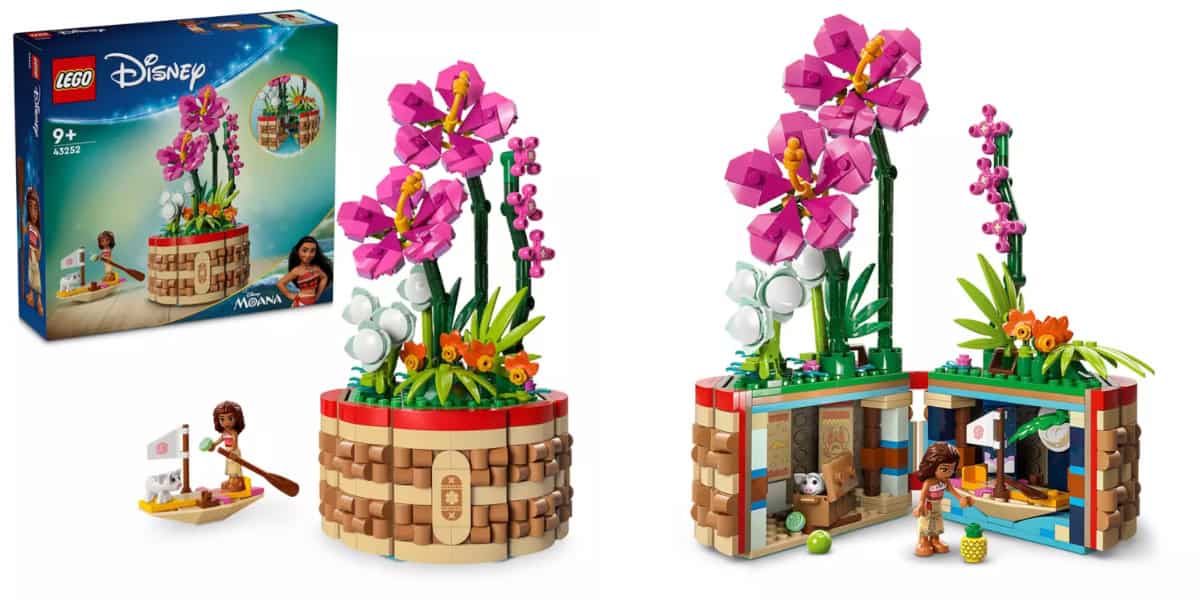 LEGO Disney set featuring Moana. Includes a buildable flower garden with large pink flowers and various plants. Moana figurine in a boat. Box and opened garden display shown with interior details. Suitable for ages 9 and up.