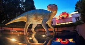 Dinosaur-Animal Kingdom