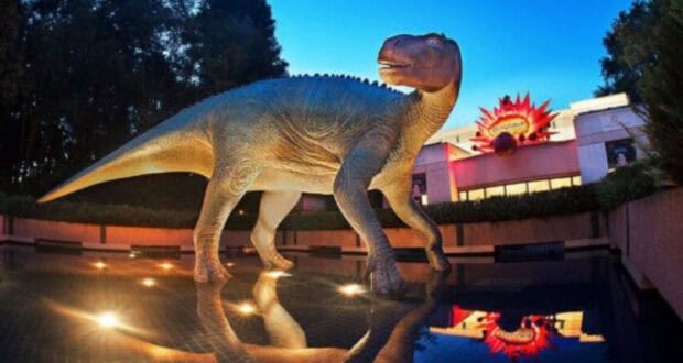 Dinosaur-Animal Kingdom