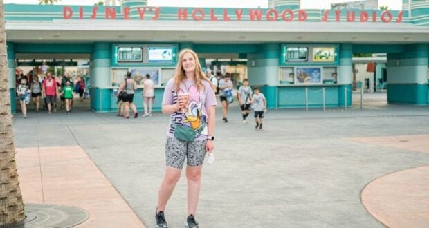 Disney park Entry