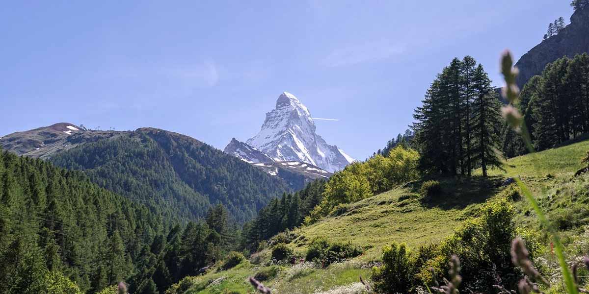 Snow-capped Matterhorn mountain rising above lush green hills and pine trees under a clear blue sky, with patches of sunlight illuminating the landscape.