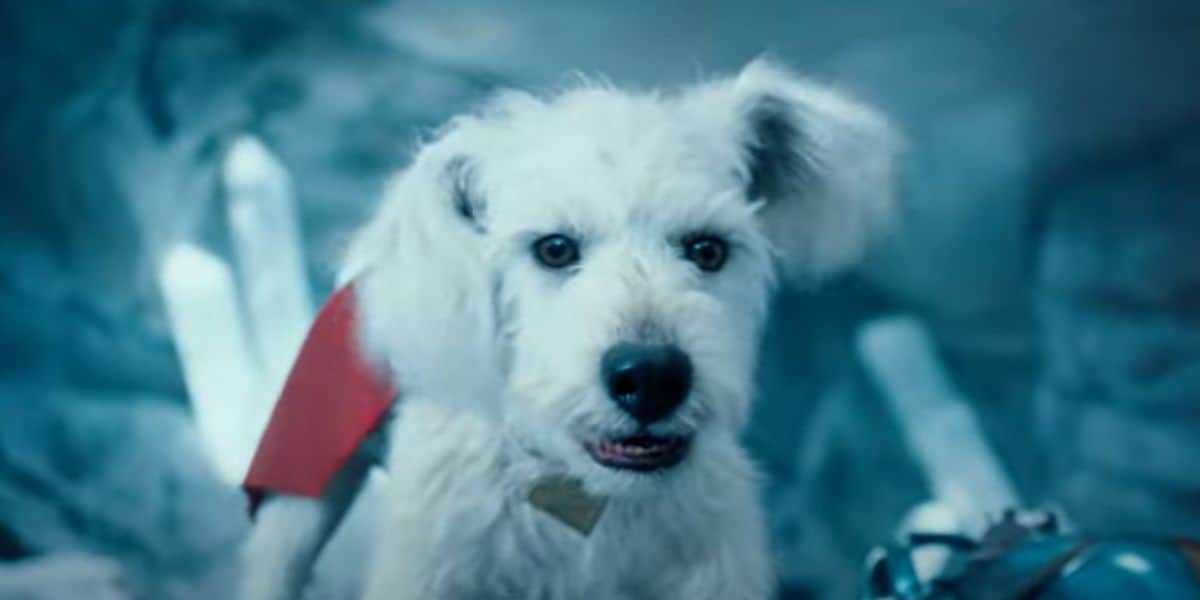 Krypto in 'Superman' (2025)