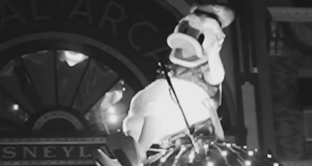 Black and white photo of a Donald Duck costume character on a Disney parade float decorated with lights.