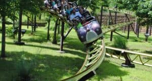 People ride a small purple roller coaster designed like a caterpillar, curving through a grassy, tree-filled area on bright green tracks. The riders appear to be enjoying the ride.