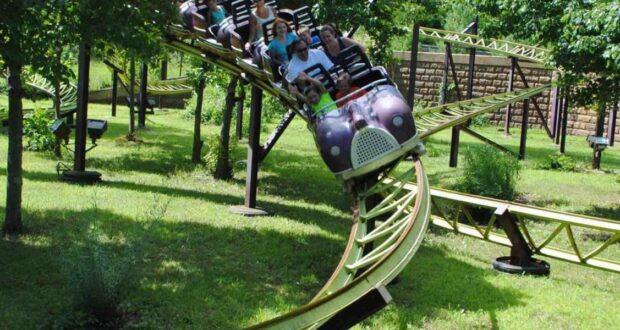 People ride a small purple roller coaster designed like a caterpillar, curving through a grassy, tree-filled area on bright green tracks. The riders appear to be enjoying the ride.